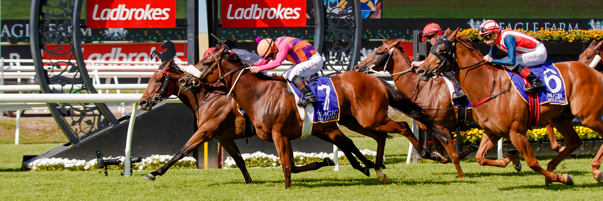 BRC_Membership_Contact_Us